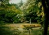 The Kinkakuju Gardens