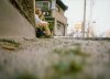 Resting on the roads of Kyoto.